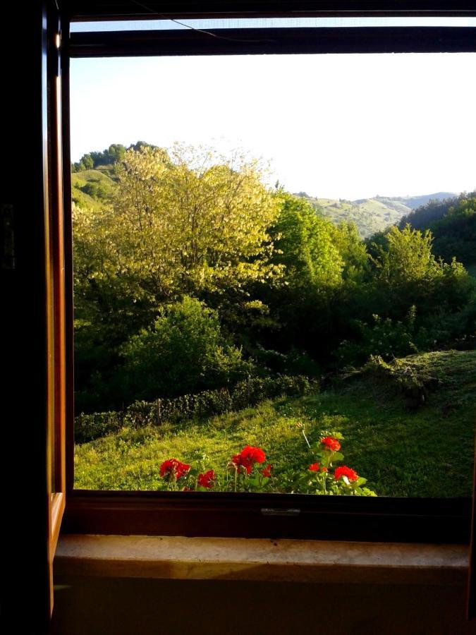 Agriturismo Il Casale Pica Posta Екстер'єр фото